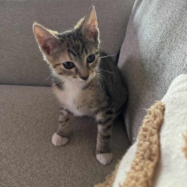 Photo of Cally