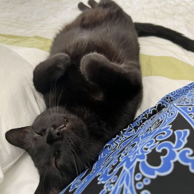 Photo of Tia