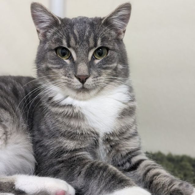 Photo of 🎁 Mack 5056 🎁