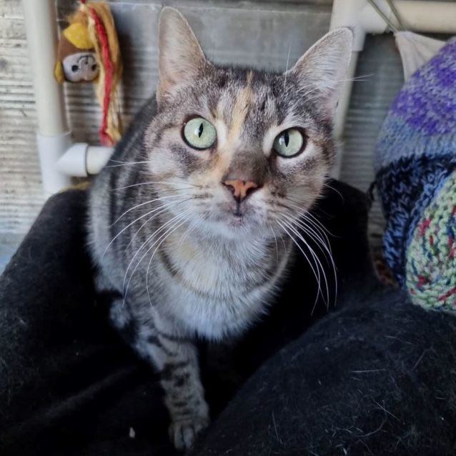 Photo of Minnie