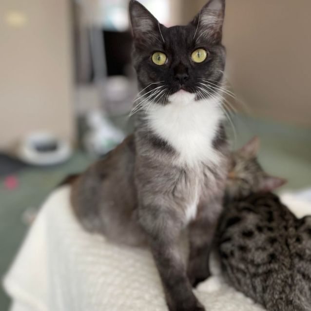 Photo of Bubbles (Located In Edithvale)