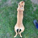 Photo of Atlas