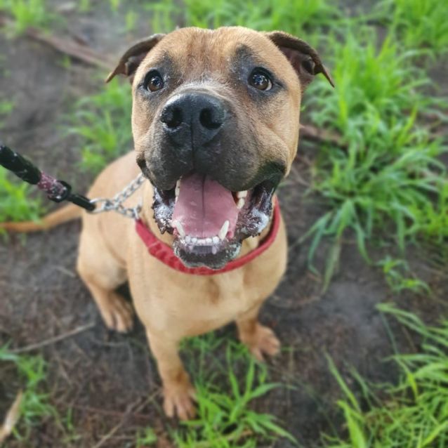 Photo of Zeke Dl2868