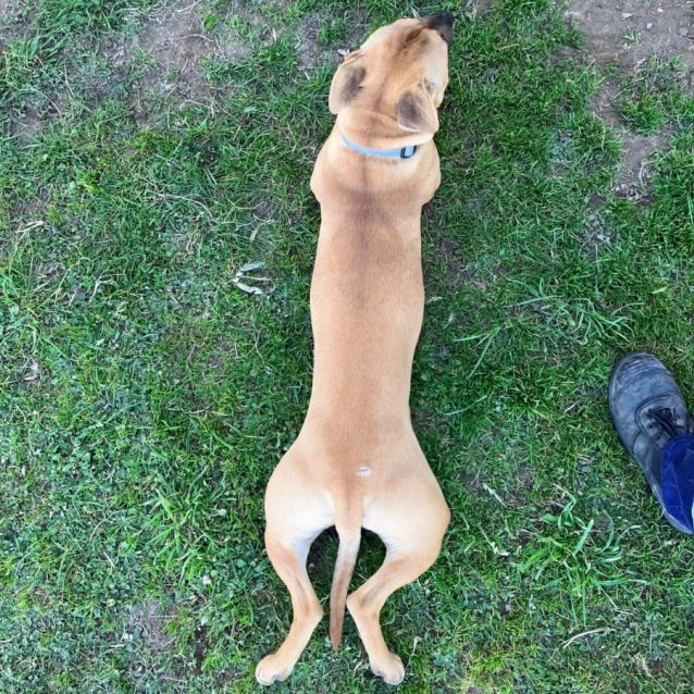 Photo of Atlas