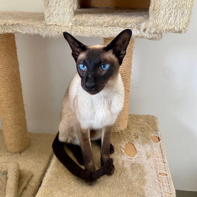 Photo of C1239 Bubby