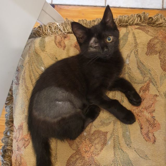 Photo of Pepper 🌸🌸