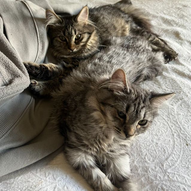 Photo of Catherine & Diana 🌹