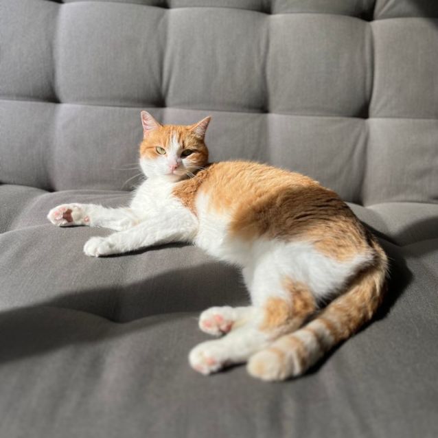 Photo of Winnie