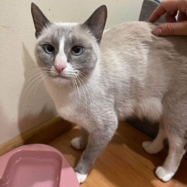 Photo of Tinkerbell