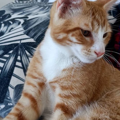 Jethro