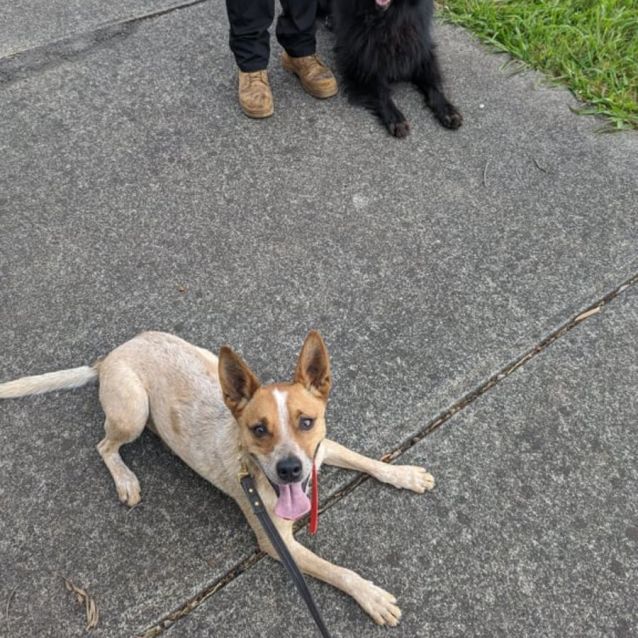 Photo of Sandy