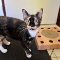 Photo of Beatrice