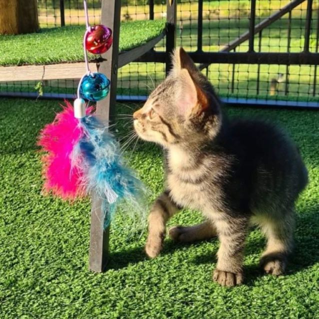 Photo of Milky