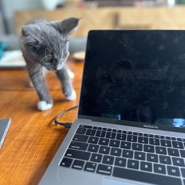 Photo of Colin Bridgerton