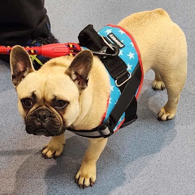 Photo of Lottie And Hakan