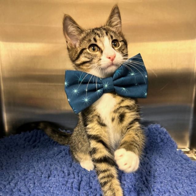 Photo of Shaggy & Velma