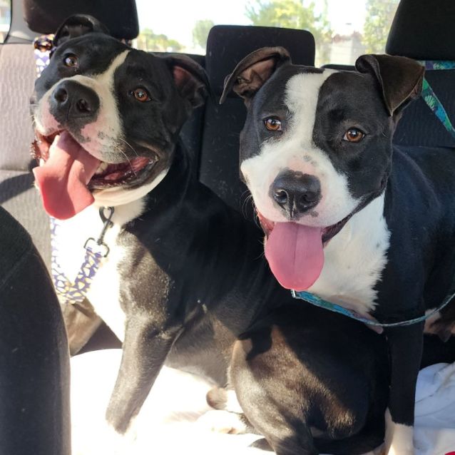 Photo of Jane And Thor