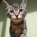 Photo of Kiki