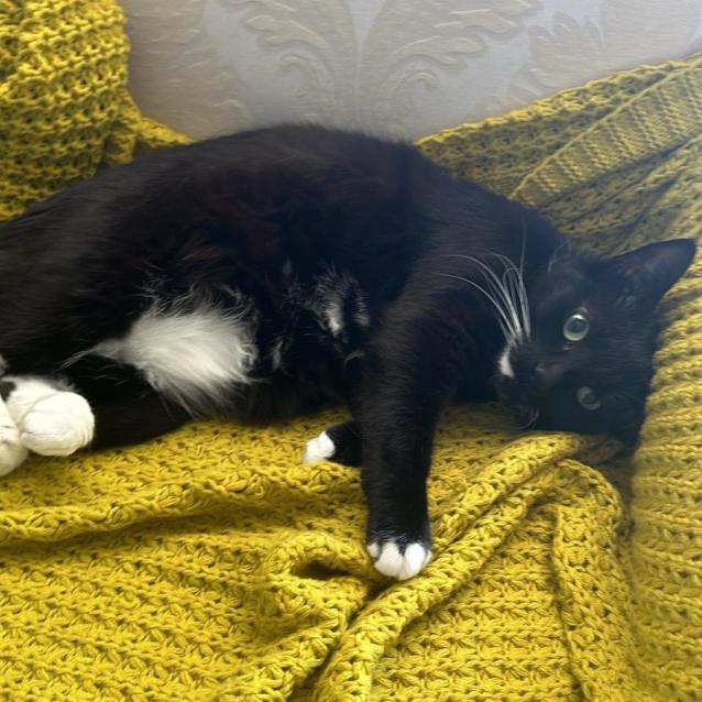 Photo of Mica 🌸🌸🌸