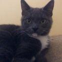 Photo of Max