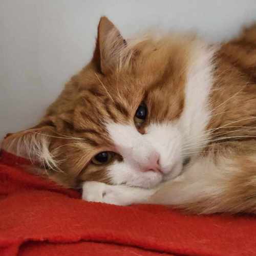 🌵 Javier 6186 🌵