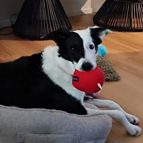 No photo for Ellie
