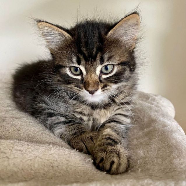 Photo of Charm