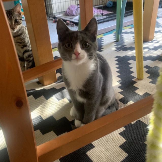 Photo of Marvelous Meredith