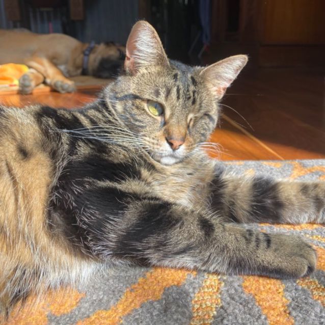 Photo of Delilah🌷