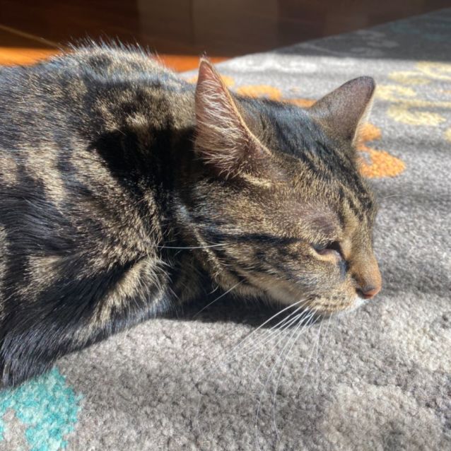 Photo of Delilah🌷