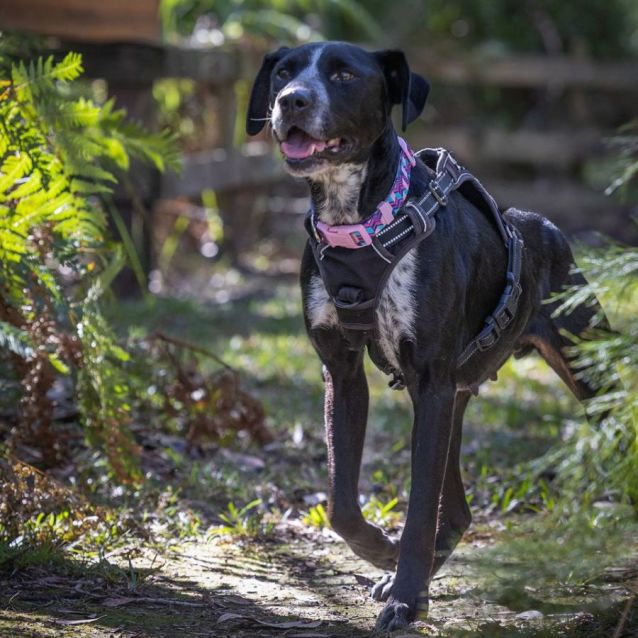 Photo of Eadie
