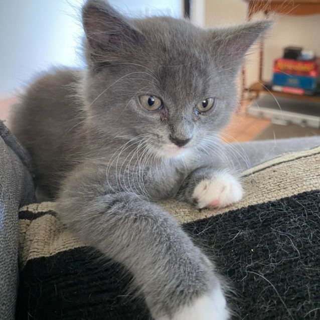 Photo of Harry
