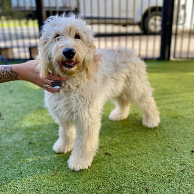 Photo of Millie