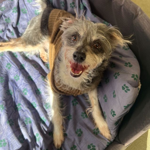 Photo of Harley And Lyla