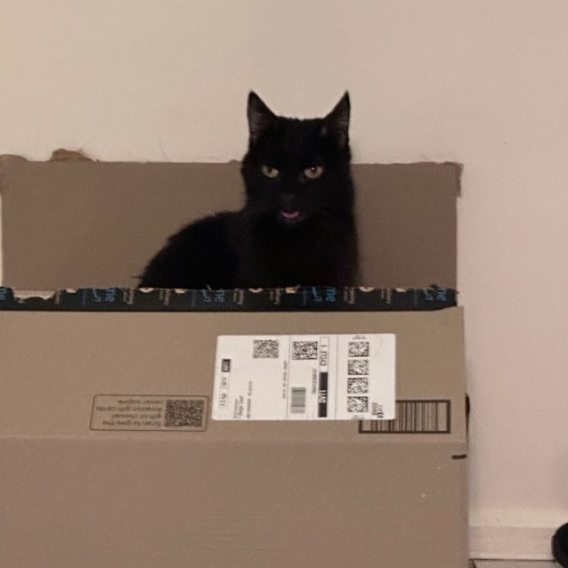 Photo of Audrey Rose 🌹