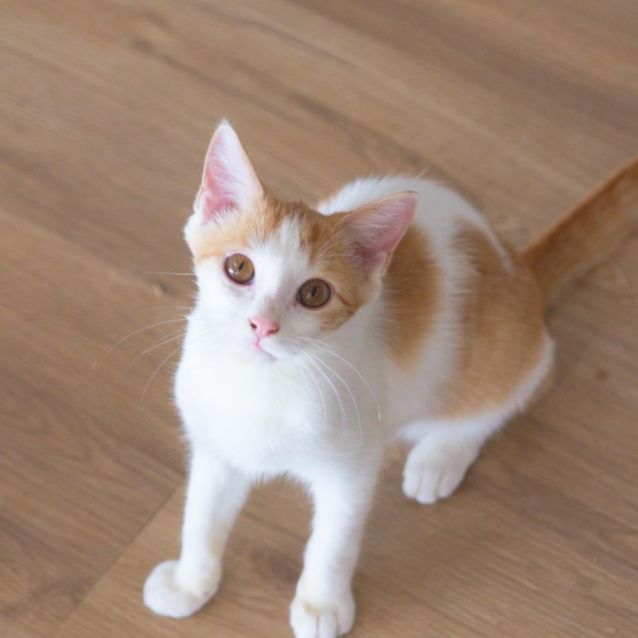 Photo of Ellie