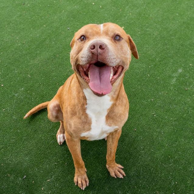 Photo of Hugo Imp 21