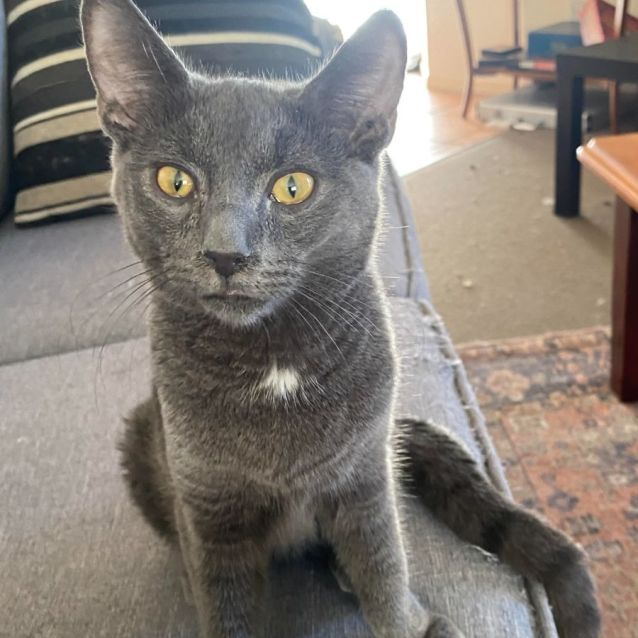 Photo of Sooty