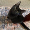 Photo of Betty
