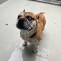 Photo of Paddy