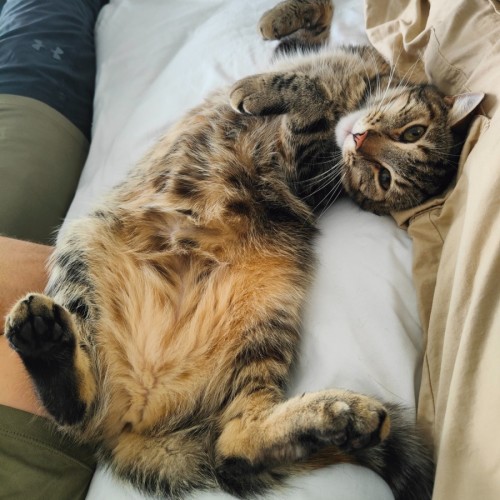 No photo for Ivy
