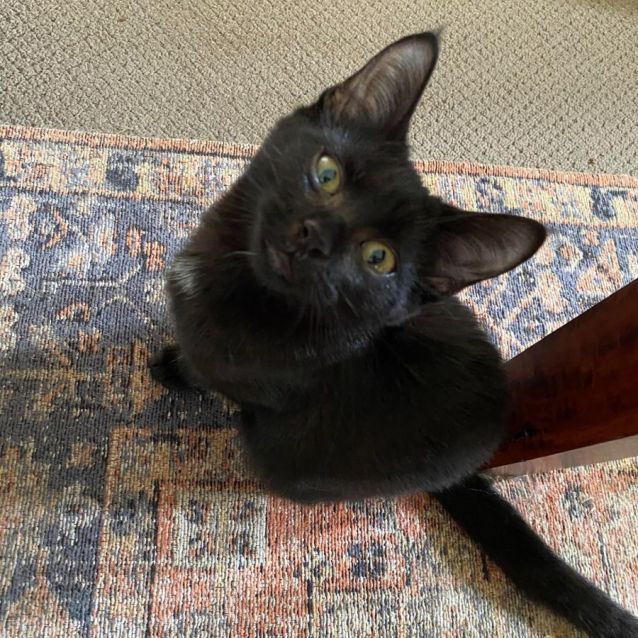 Photo of Betty