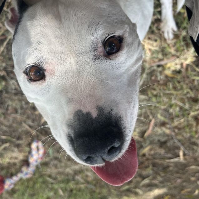 Photo of 💕 Aleura C04787 💕