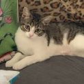 Photo of Georgie