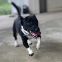 Photo of Duffy