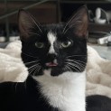 Photo of Max
