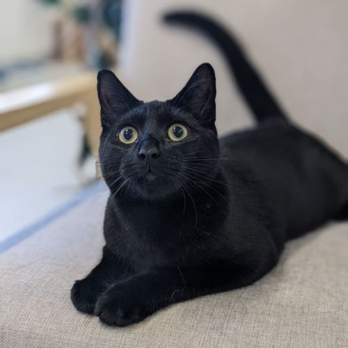 🥨 Vincent F02757 🥨