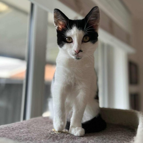 Plankton - Located in Frankston