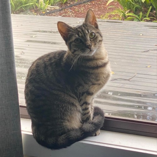 Eleanor