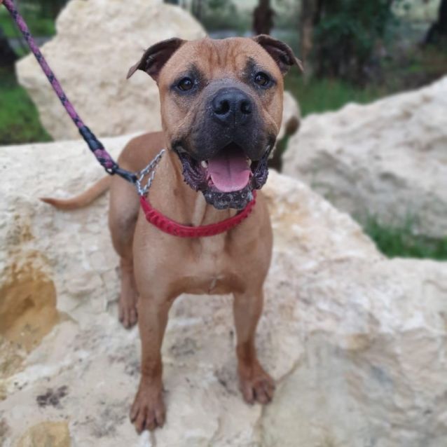 Photo of Zeke Dl2868